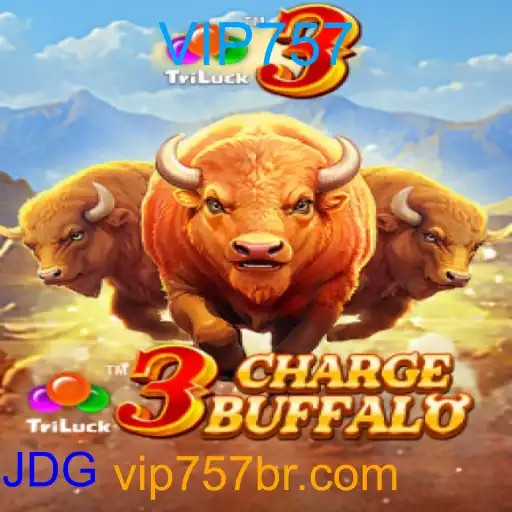 3ChargeBuffalo